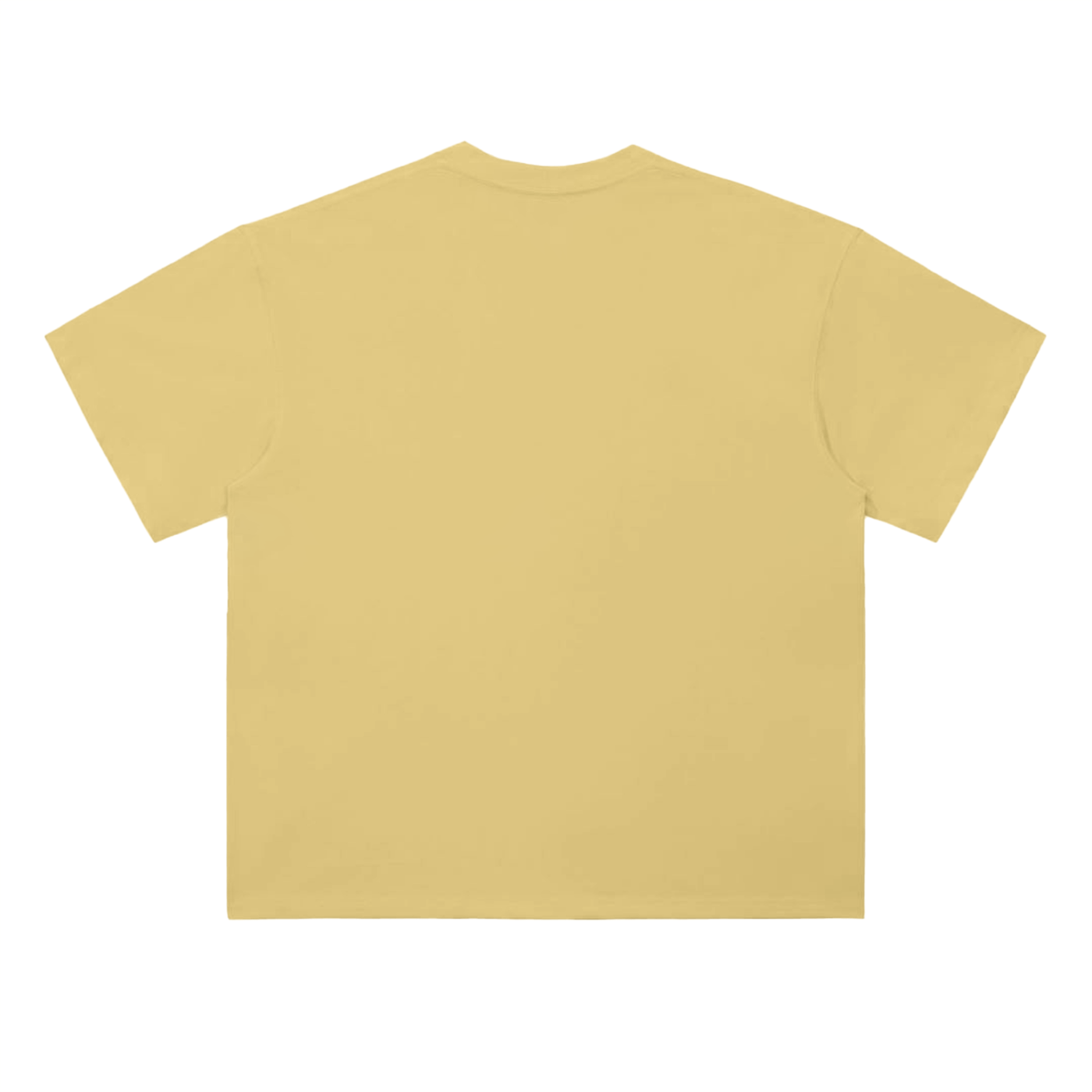 Lost and Astray: Skeleton Run (T-Shirt)